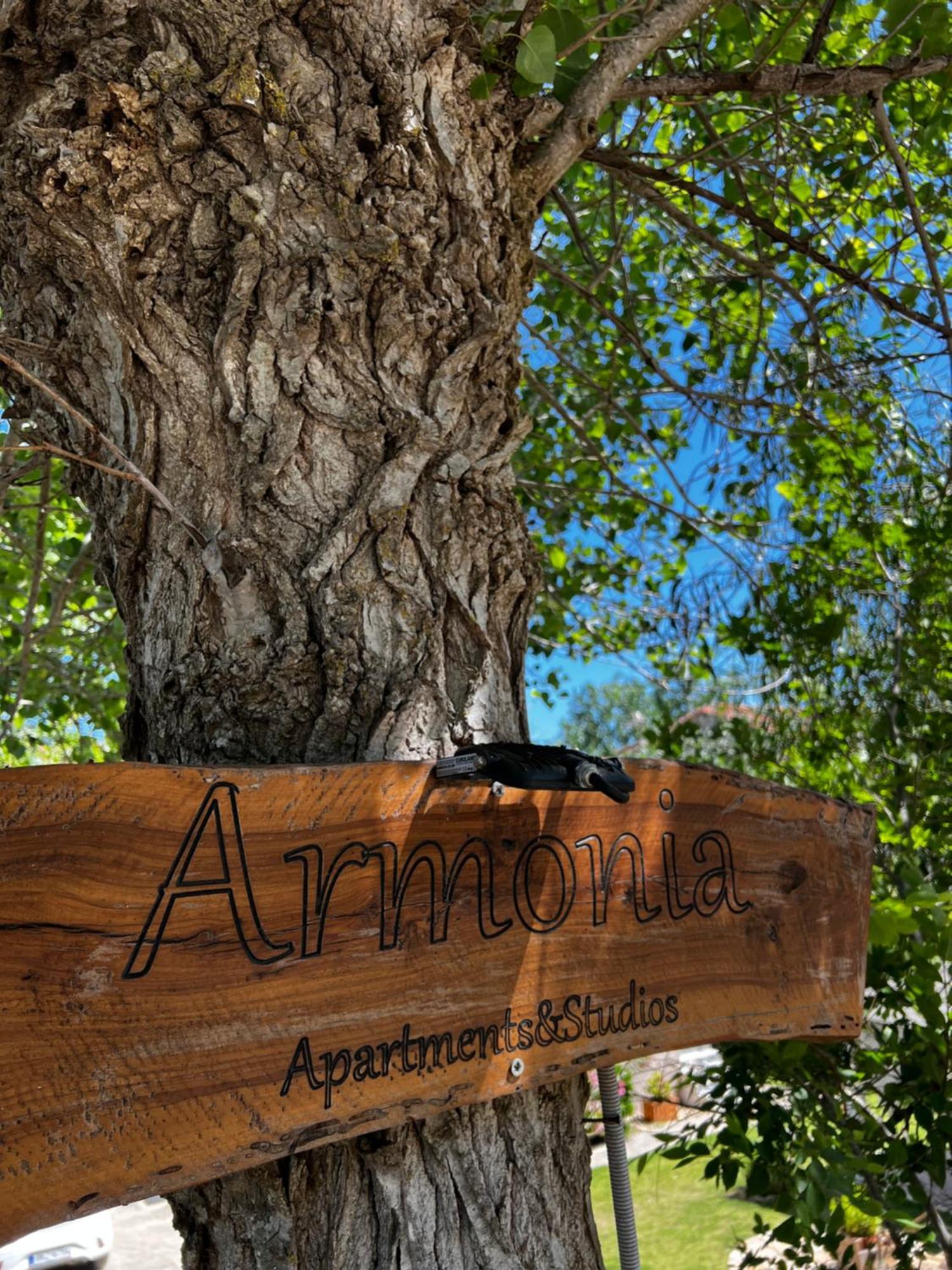 Armonia Apartments & Studios Περιβόλι Εξωτερικό φωτογραφία